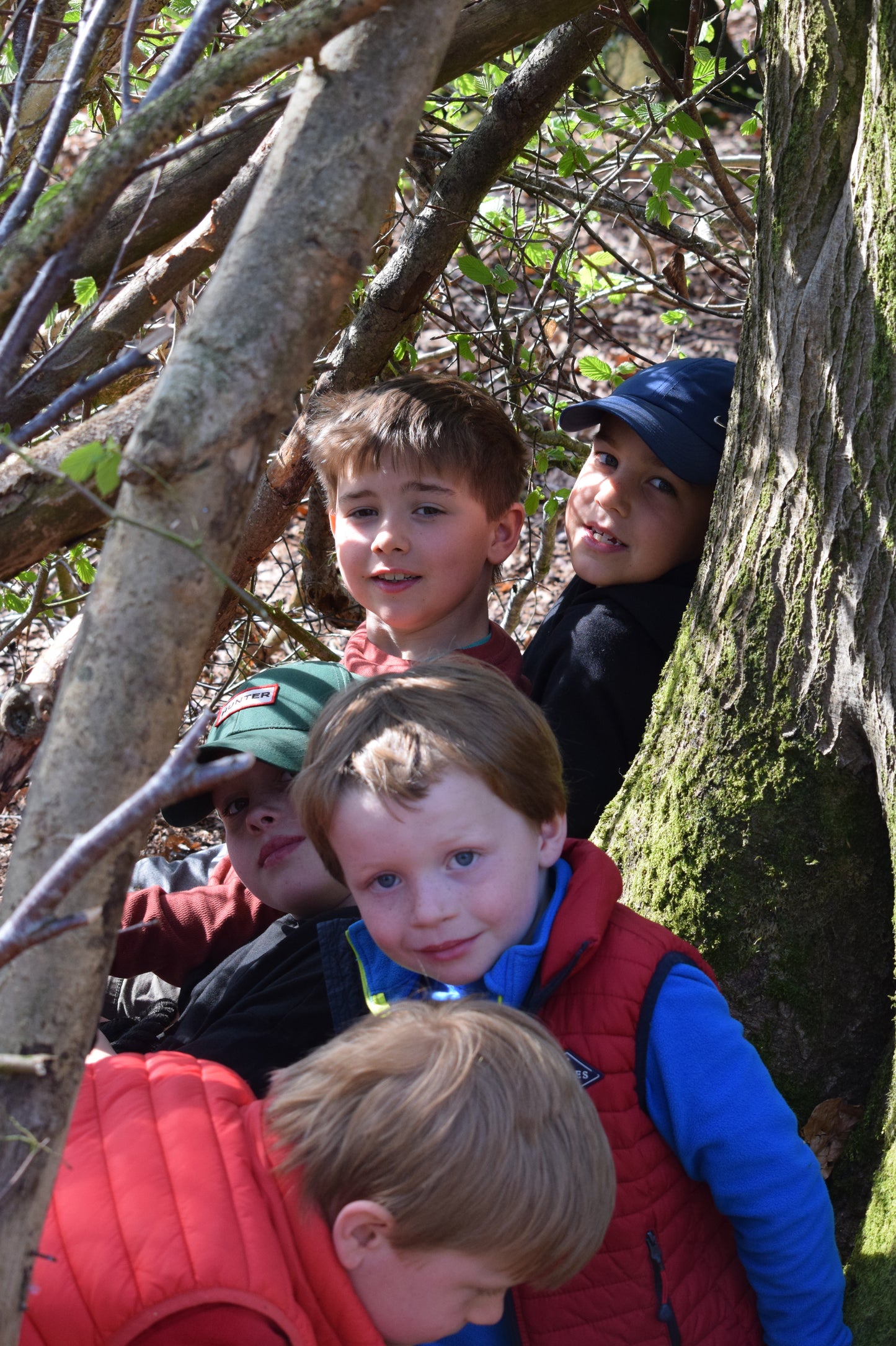 May Half Term - Fun in the Woods