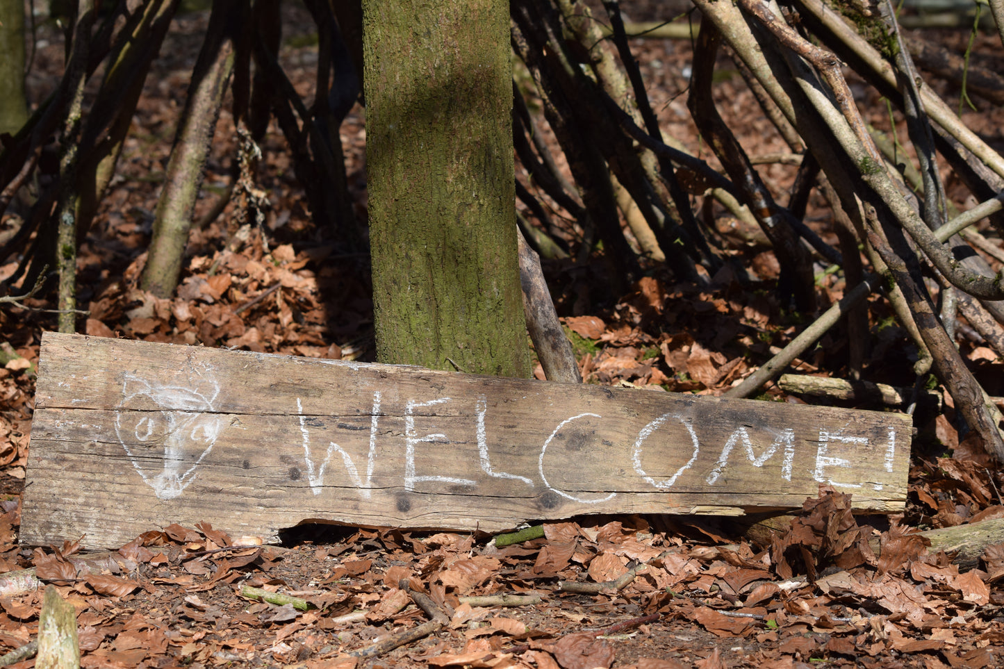 May Half Term - Fun in the Woods