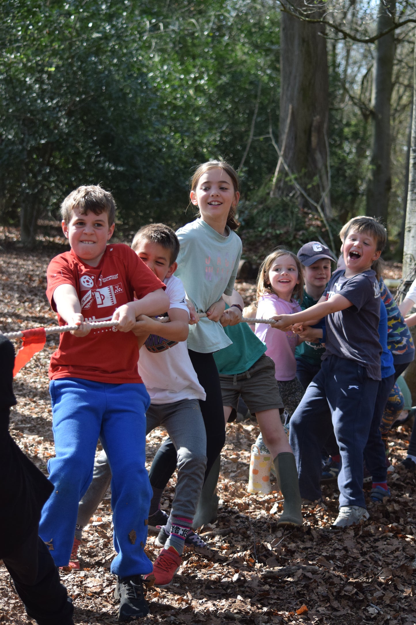 May Half Term - Fun in the Woods