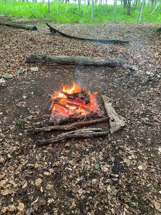October Fun at Littleton Farm | October Half Term 2026