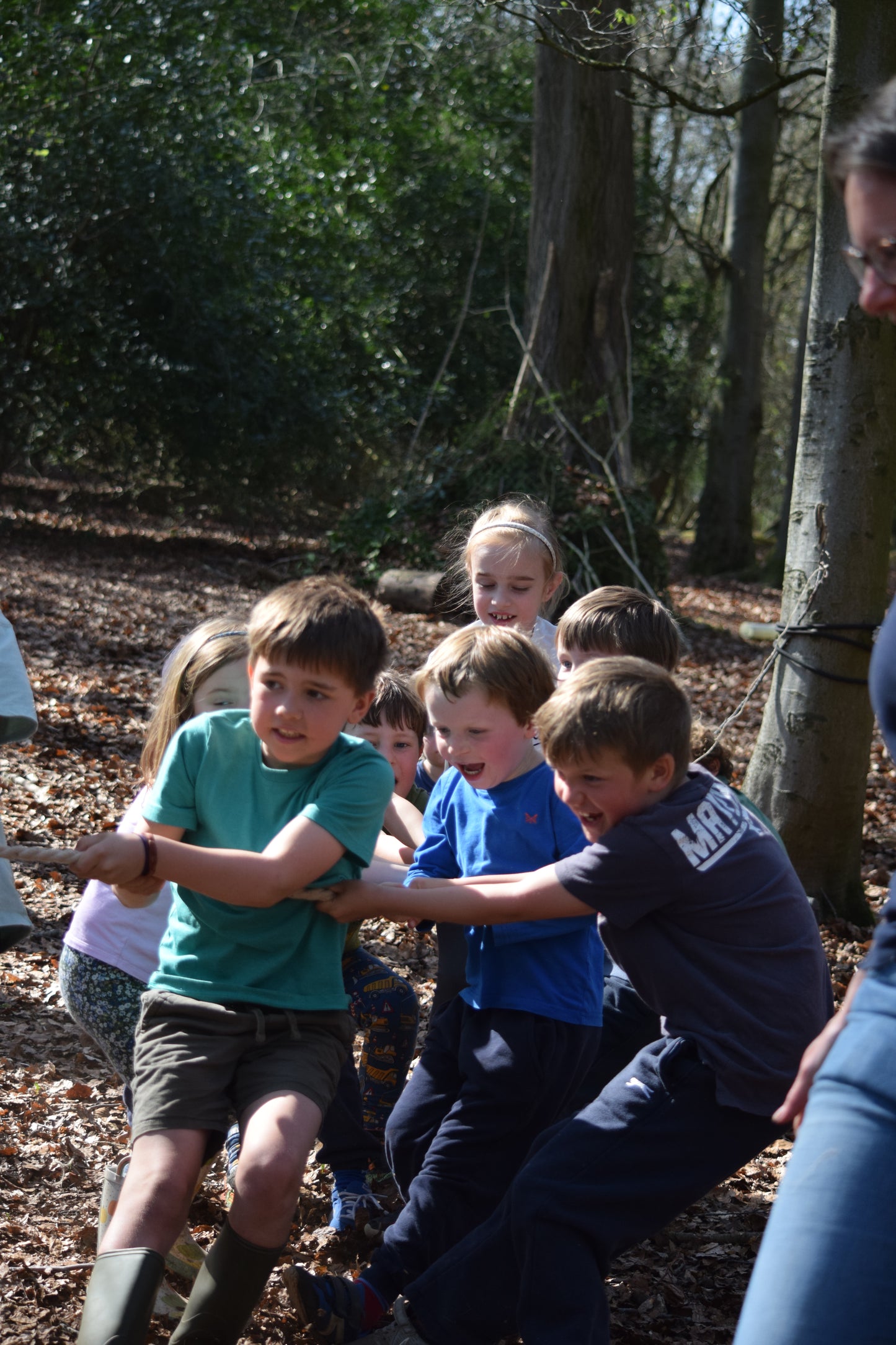 May Half Term - Fun in the Woods