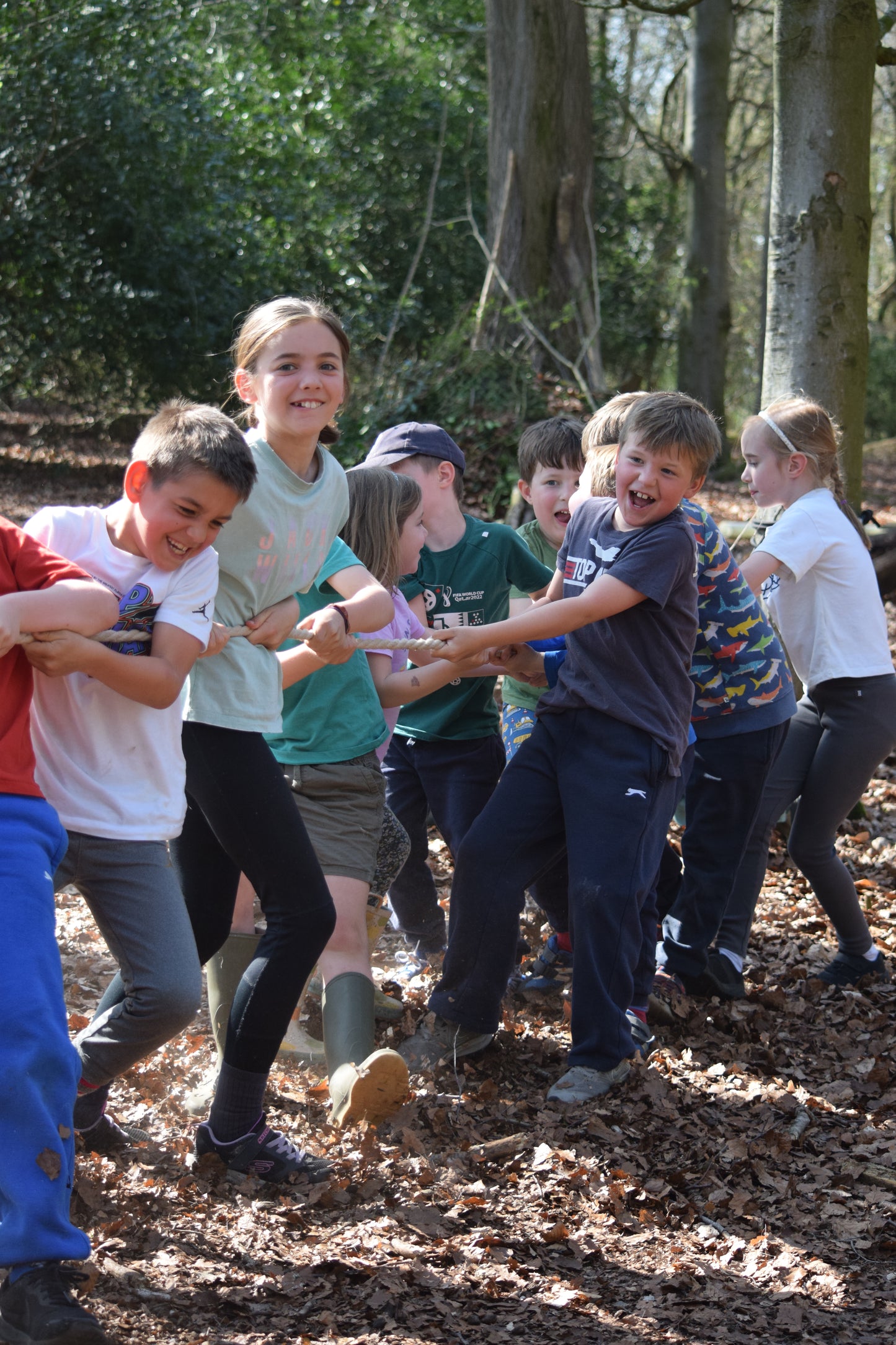 May Half Term - Fun in the Woods