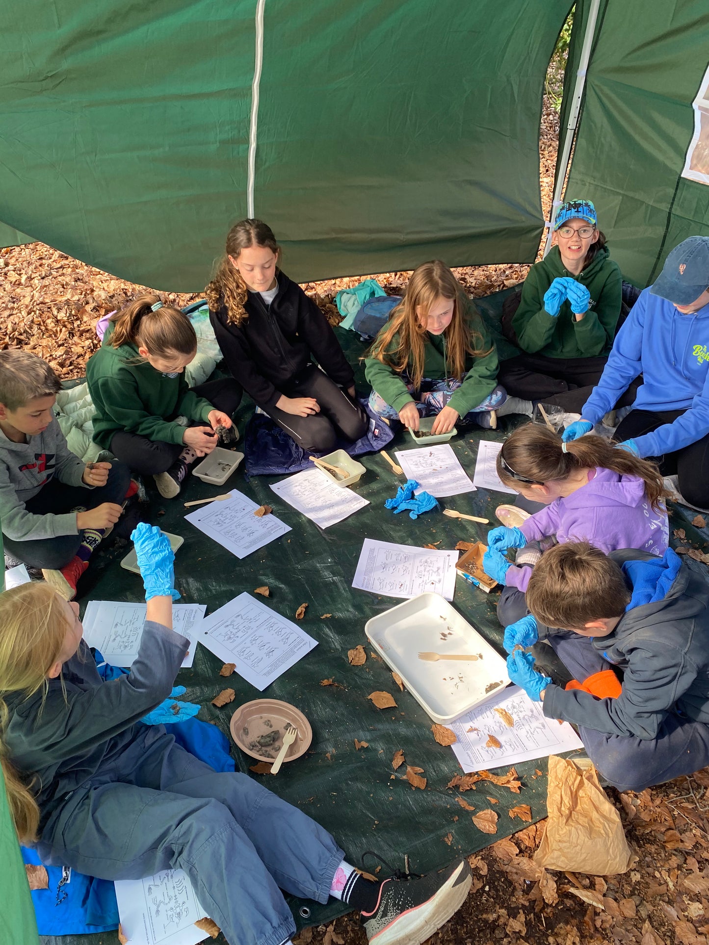 May Half Term - Fun in the Woods